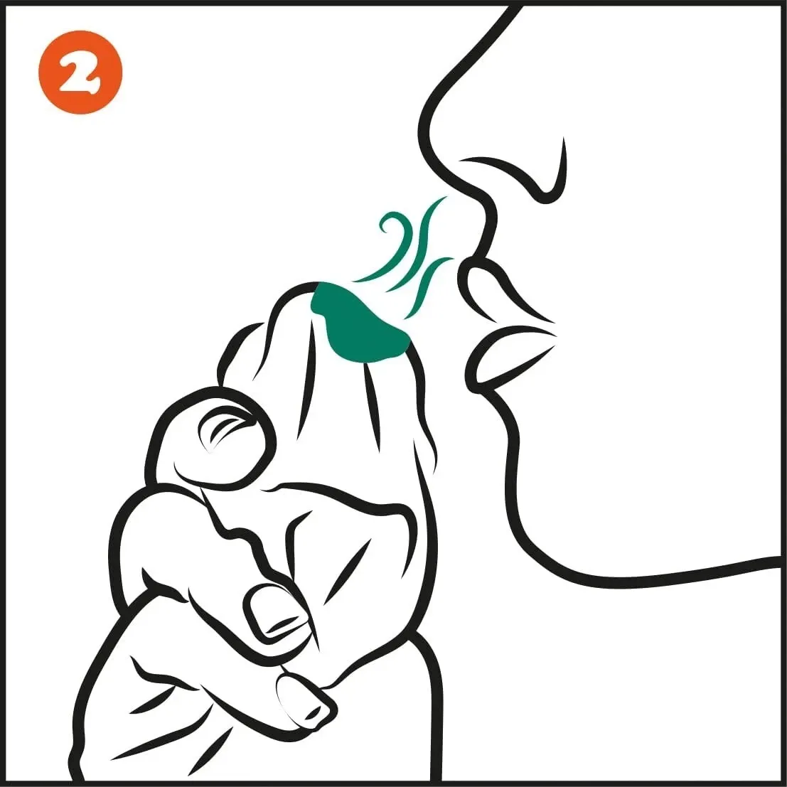 Olbas Oil Essential Oil Blend for Blocked Nose Relief - Visual Instructions Step 2